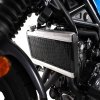 Osłona Chłodnicy RG Racing Pro Honda Cl500 23- / Cmx500 Rebel (S) 17- Black